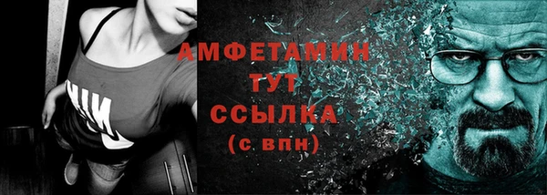 молекула духа Семилуки